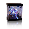 High Quality Acrylic Display Box for Toy and Shoes